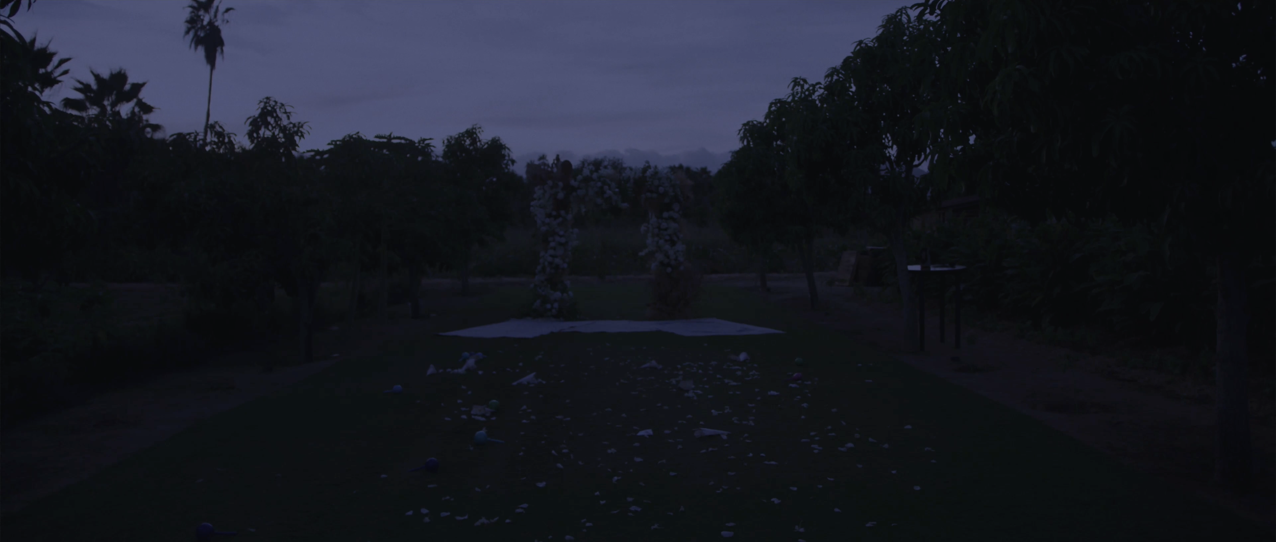 Screenshot 2024-01-11 at 12.05.33 PM.png