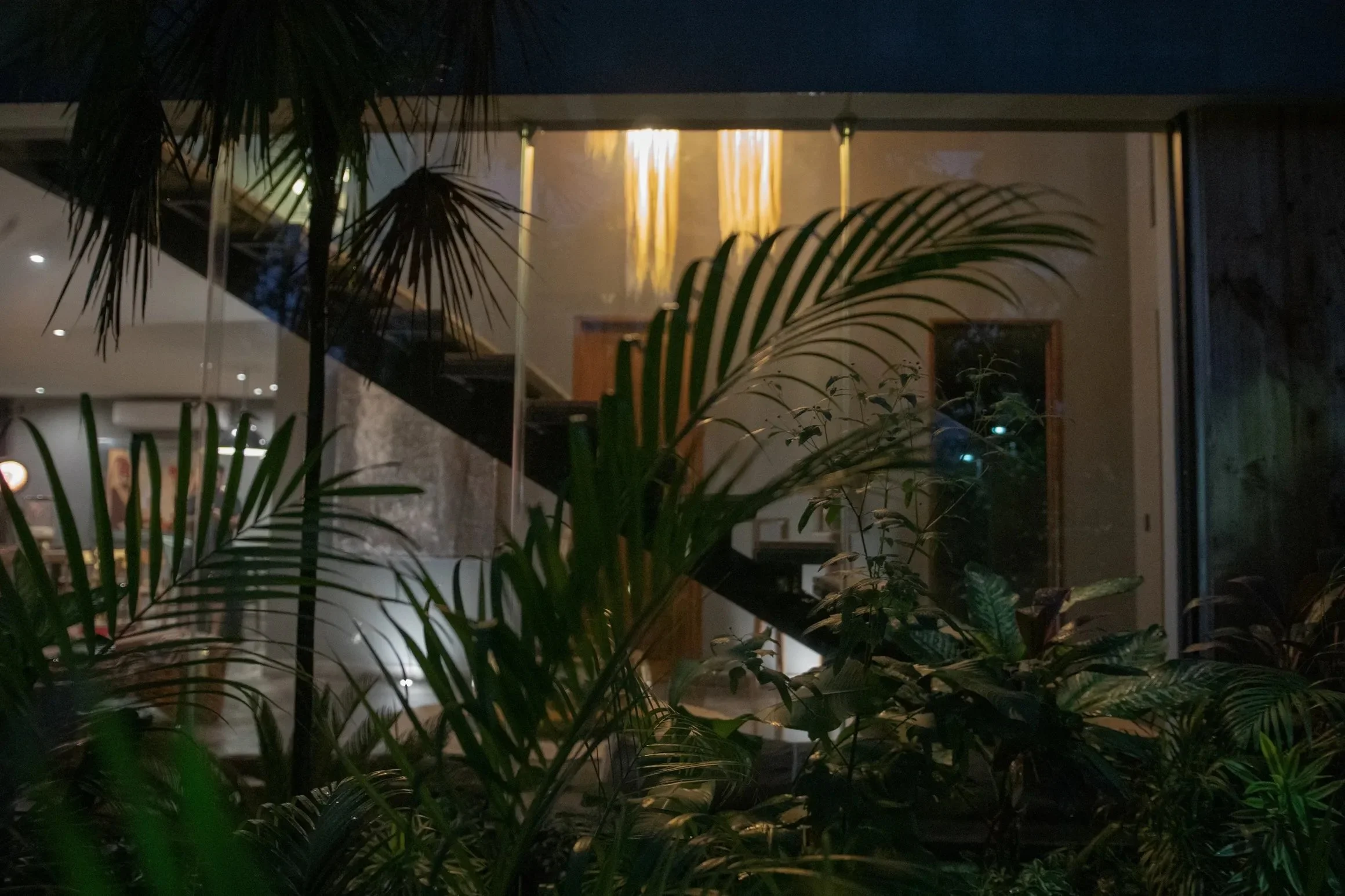 JUNGLE OUTSIDE 2 .jpg