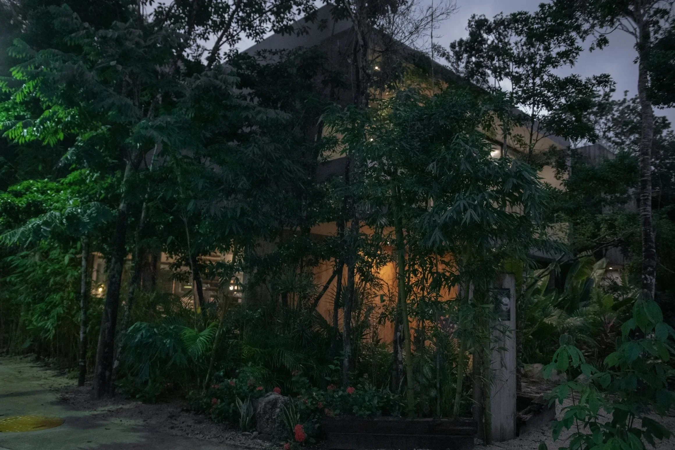 VILLA IN JUNGLE .jpg