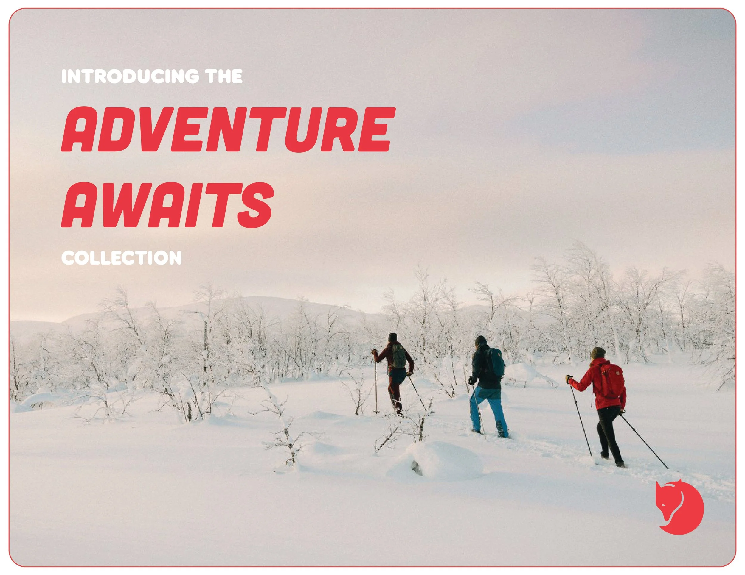 Fjallravenimage1.jpg