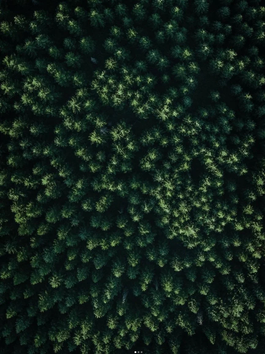 Our 2023 Sustainability Report