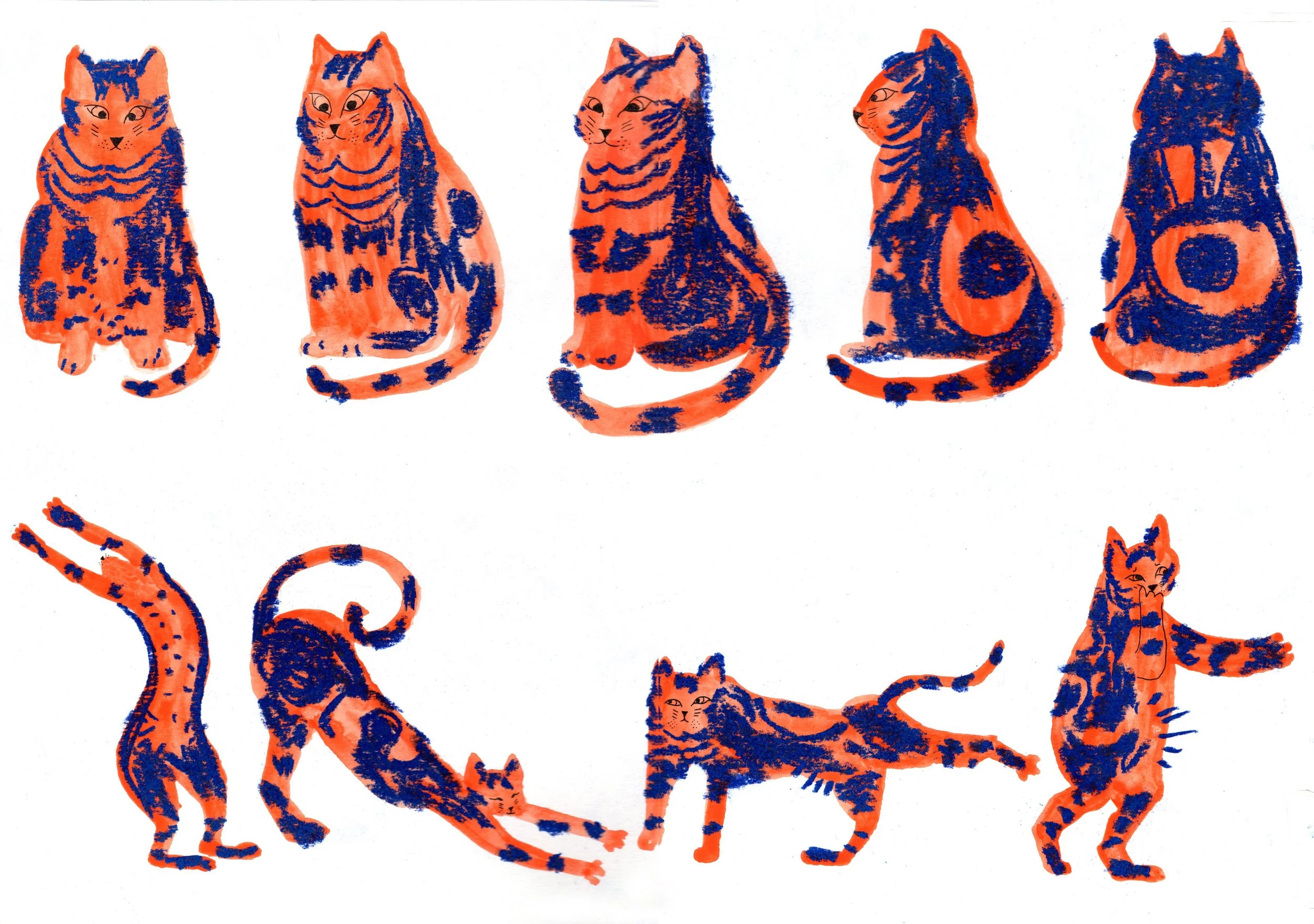 Cat character design