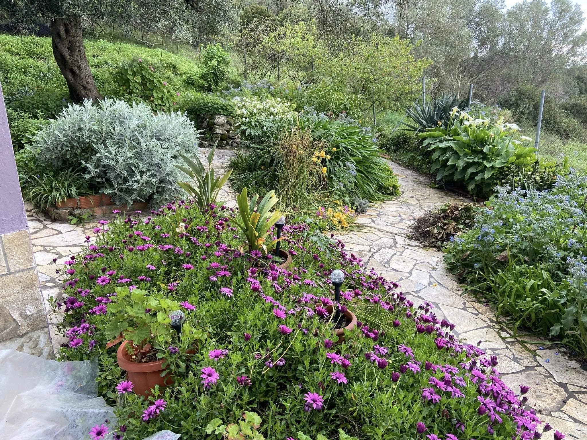 487807435_24191918743731121_1202514118609944090_n - Joy Konstantis.jpg