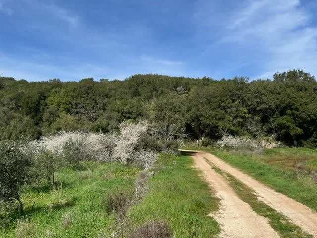 Track up the valley from Sokraki.jpg