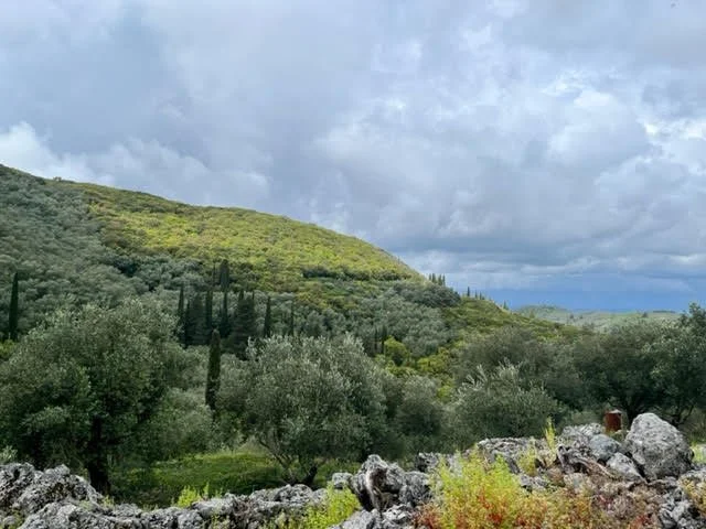 Valley on the return walk.jpg