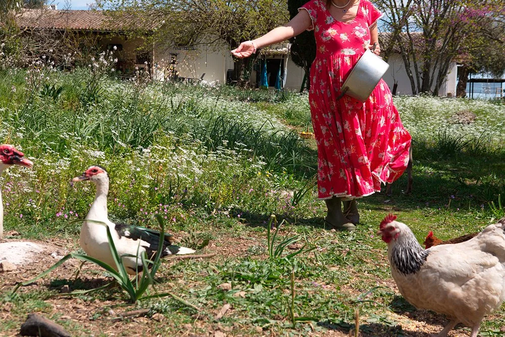 The Doctor's Farm Day at Dr. Kavvadia