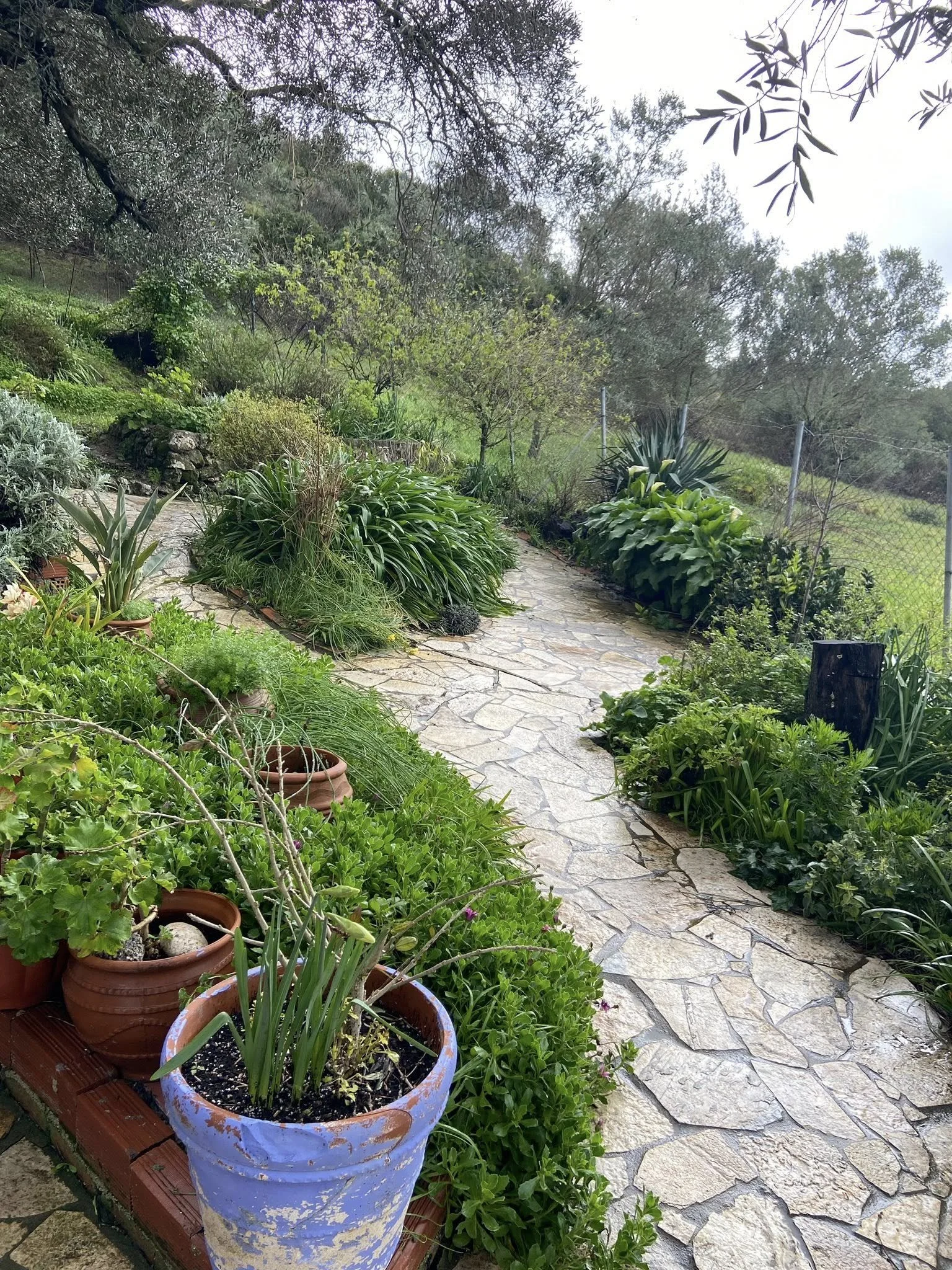 639472439_26996249483298019_2075818420436963064_n - Joy Konstantis.jpg