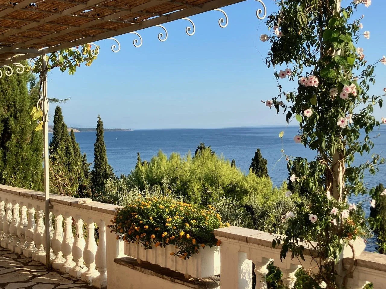 Veranda Climber SeaView.jpg