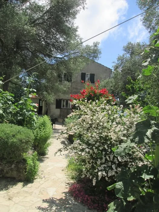 484834229_24095160226740307_5048759713327739606_n - Joy Konstantis.jpg