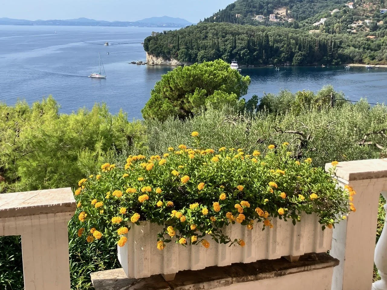 Flower Trough and Sea View.jpg