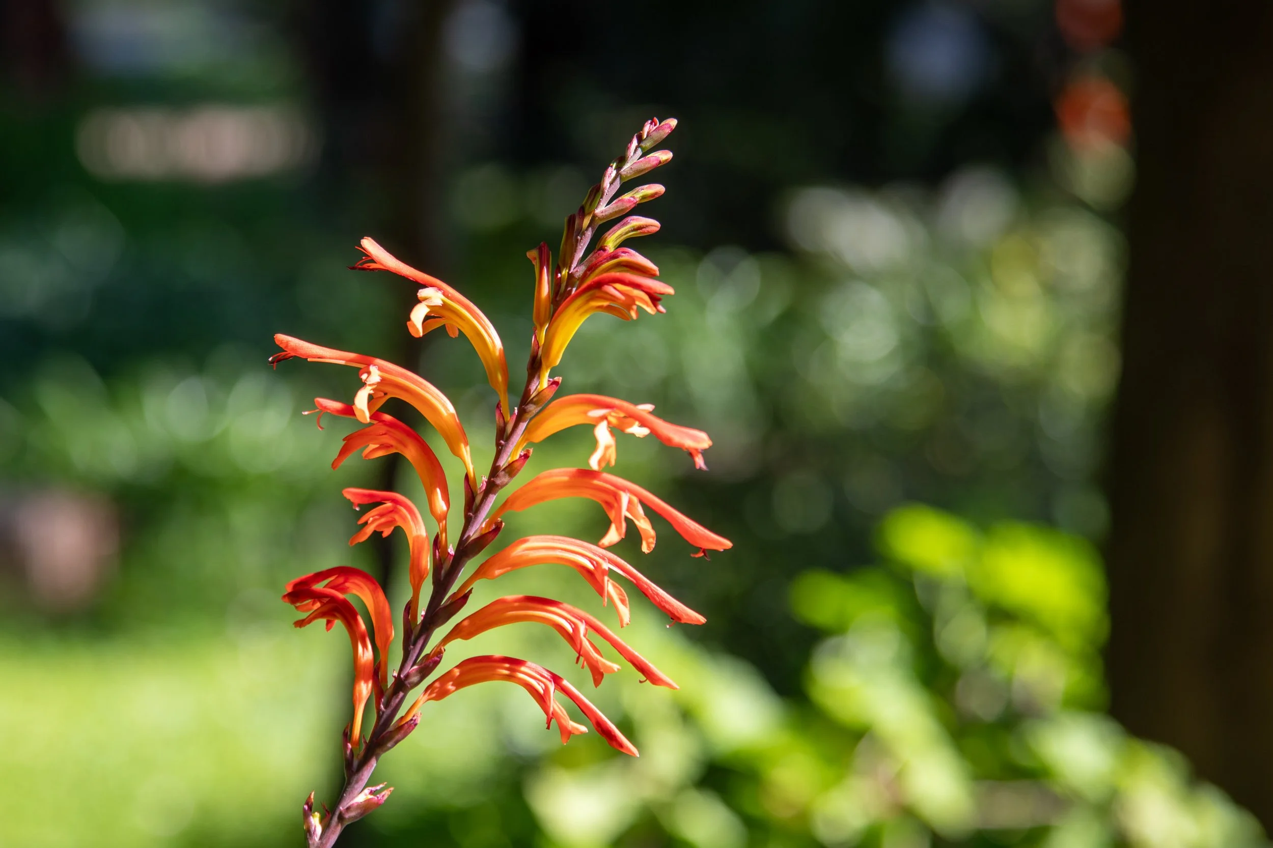 047_IJ4A1961 - Villa Claudia.JPG