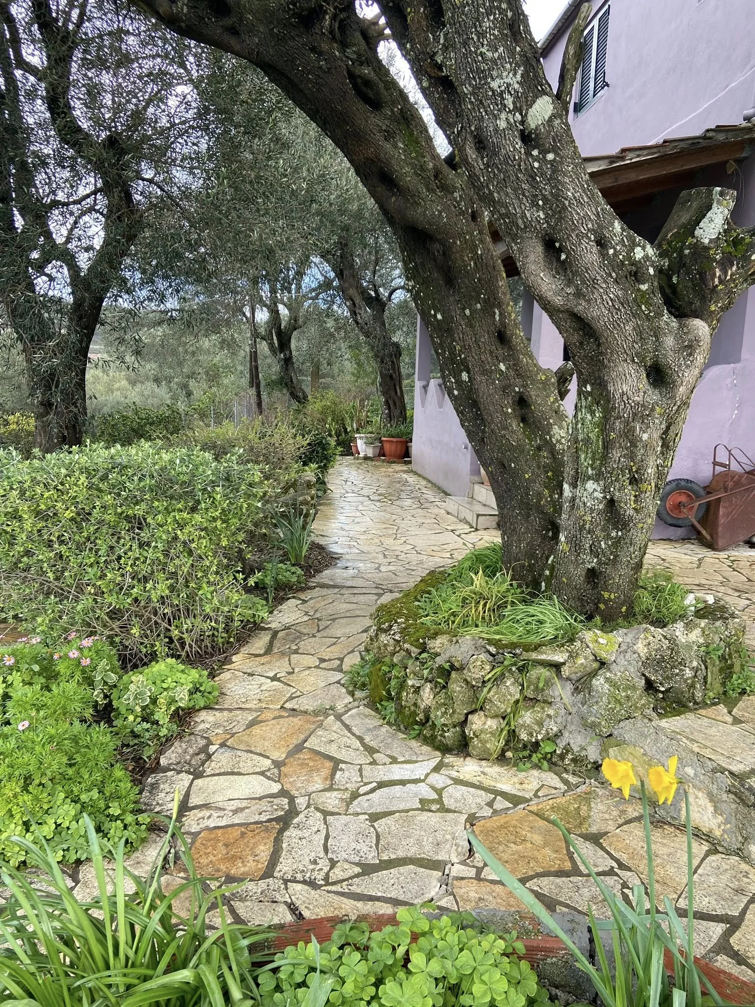 639153218_26996248719964762_568097170000302073_n - Joy Konstantis.jpg