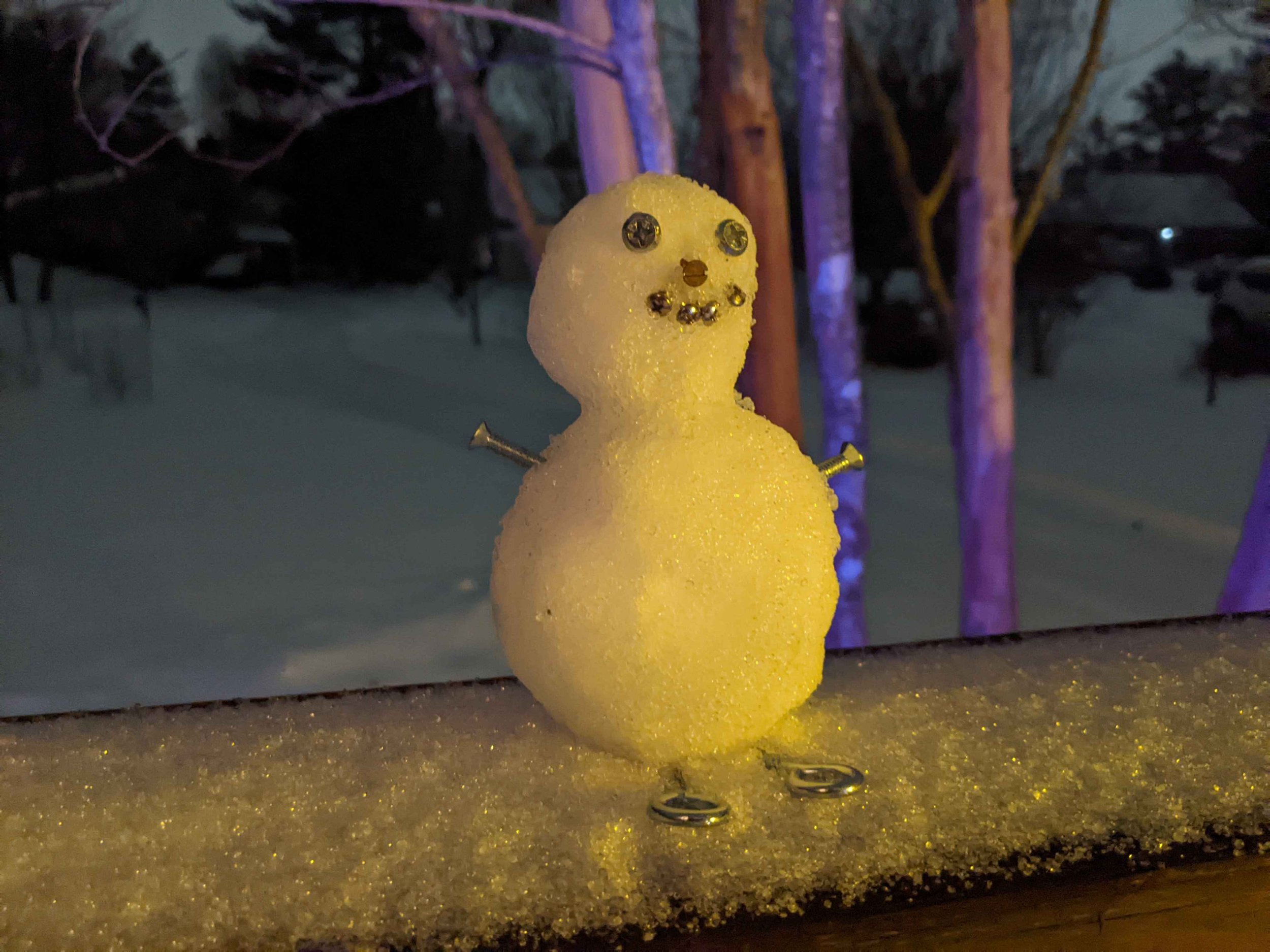 Springing out of the snow blanket