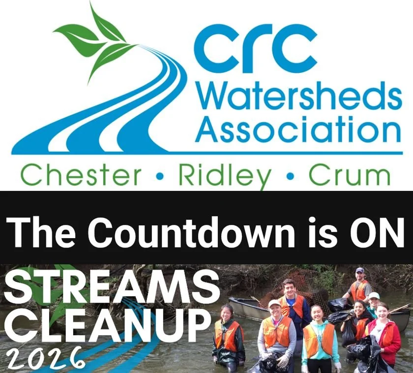 CRC Stream Cleanup March