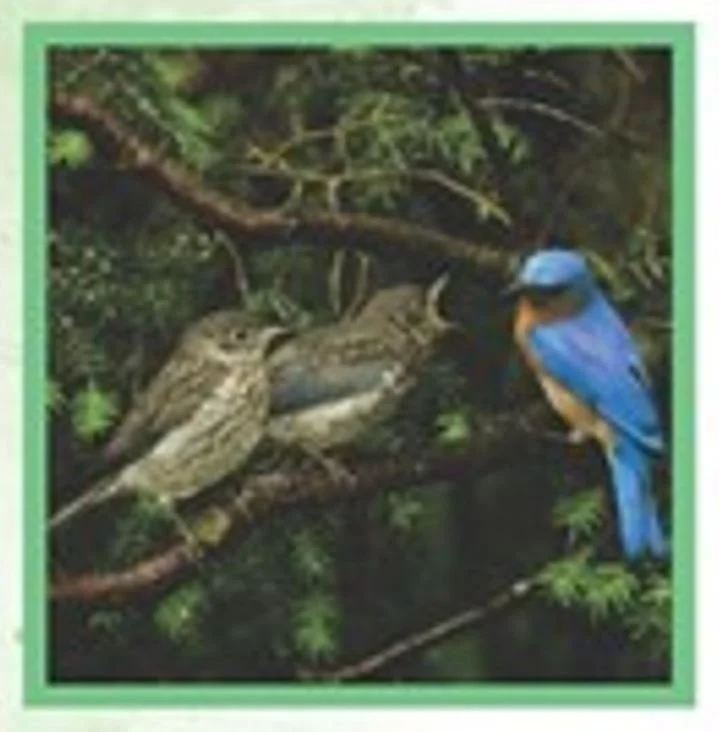 Township EAC - Bluebird Talk