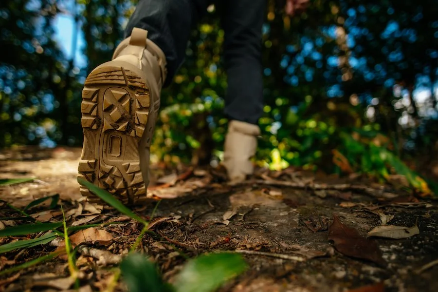 Hiking show in the forest