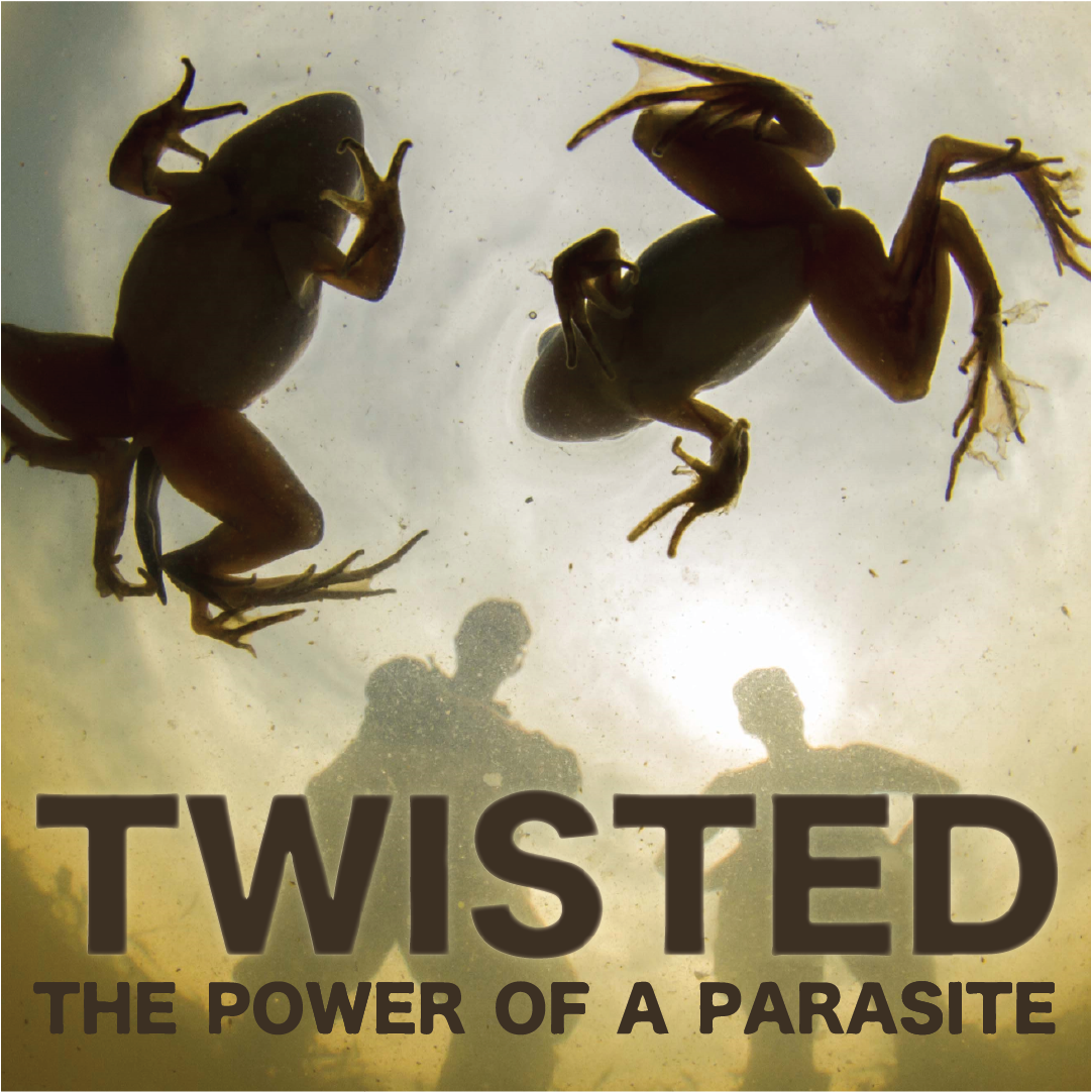 TWISTED