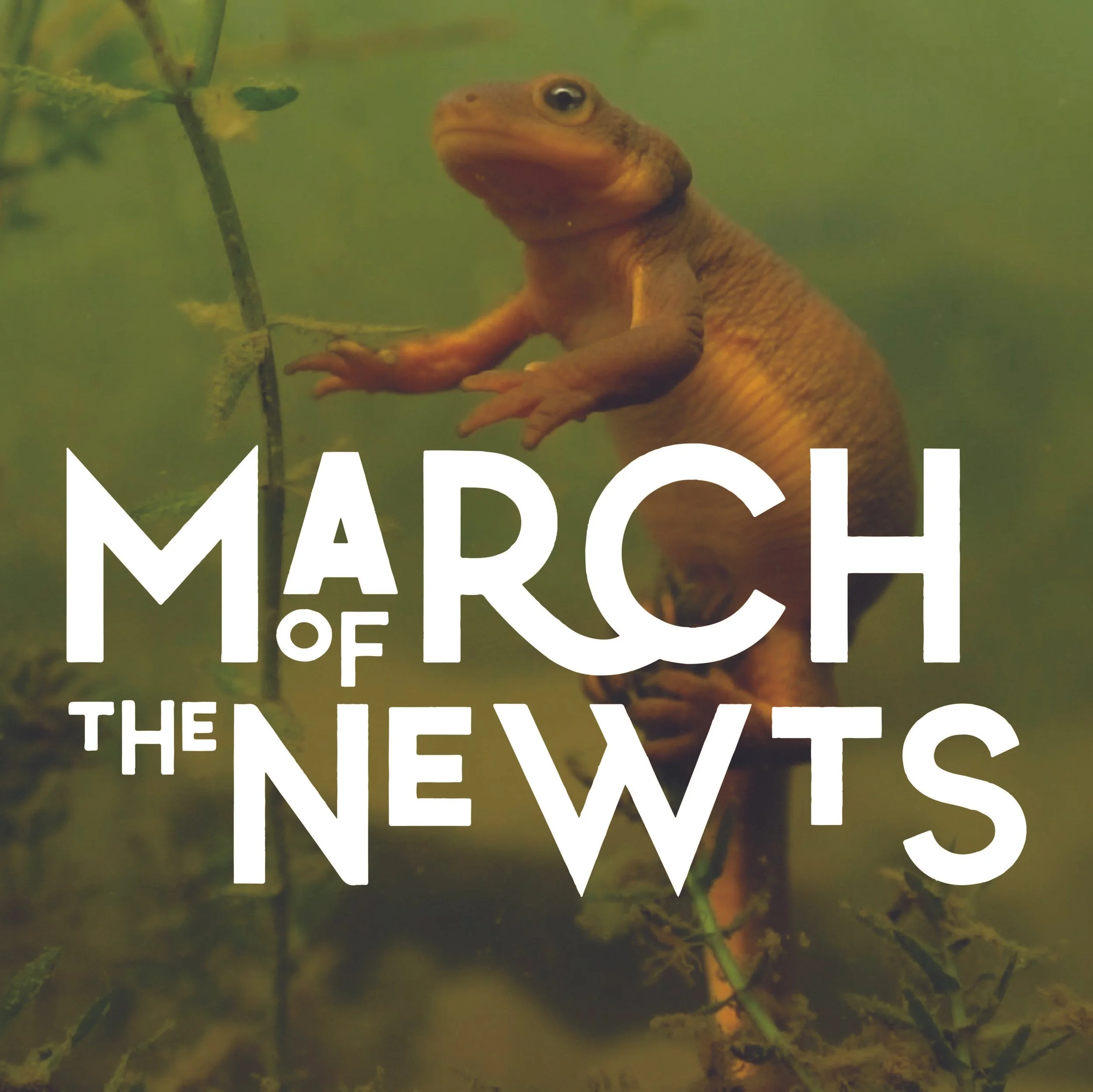 March of the Newts