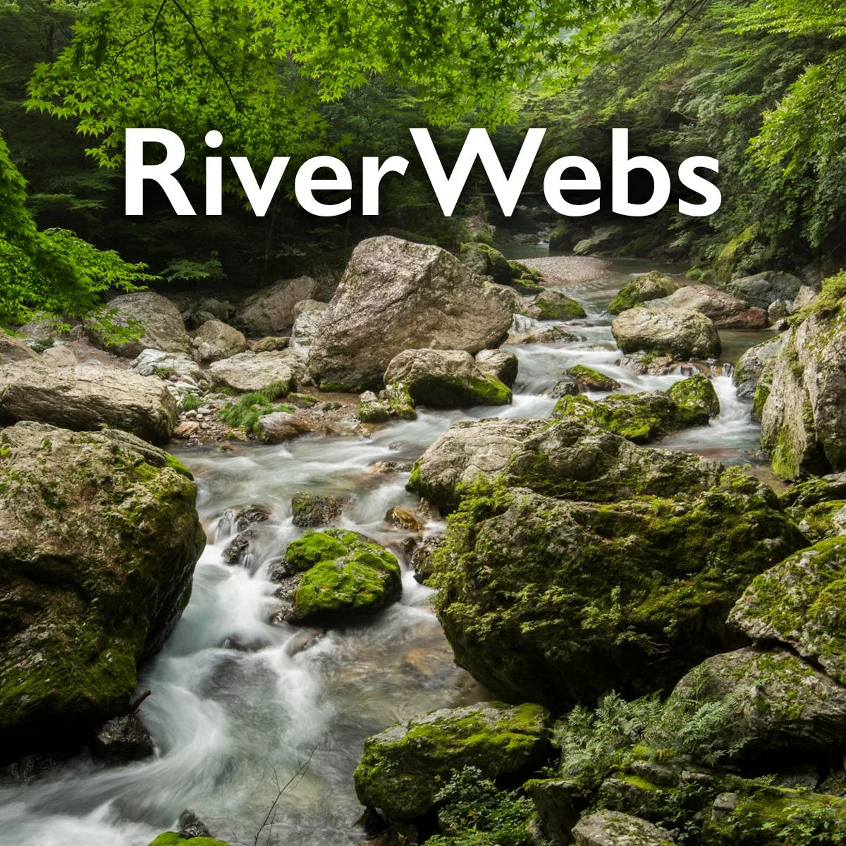 RiverWebs