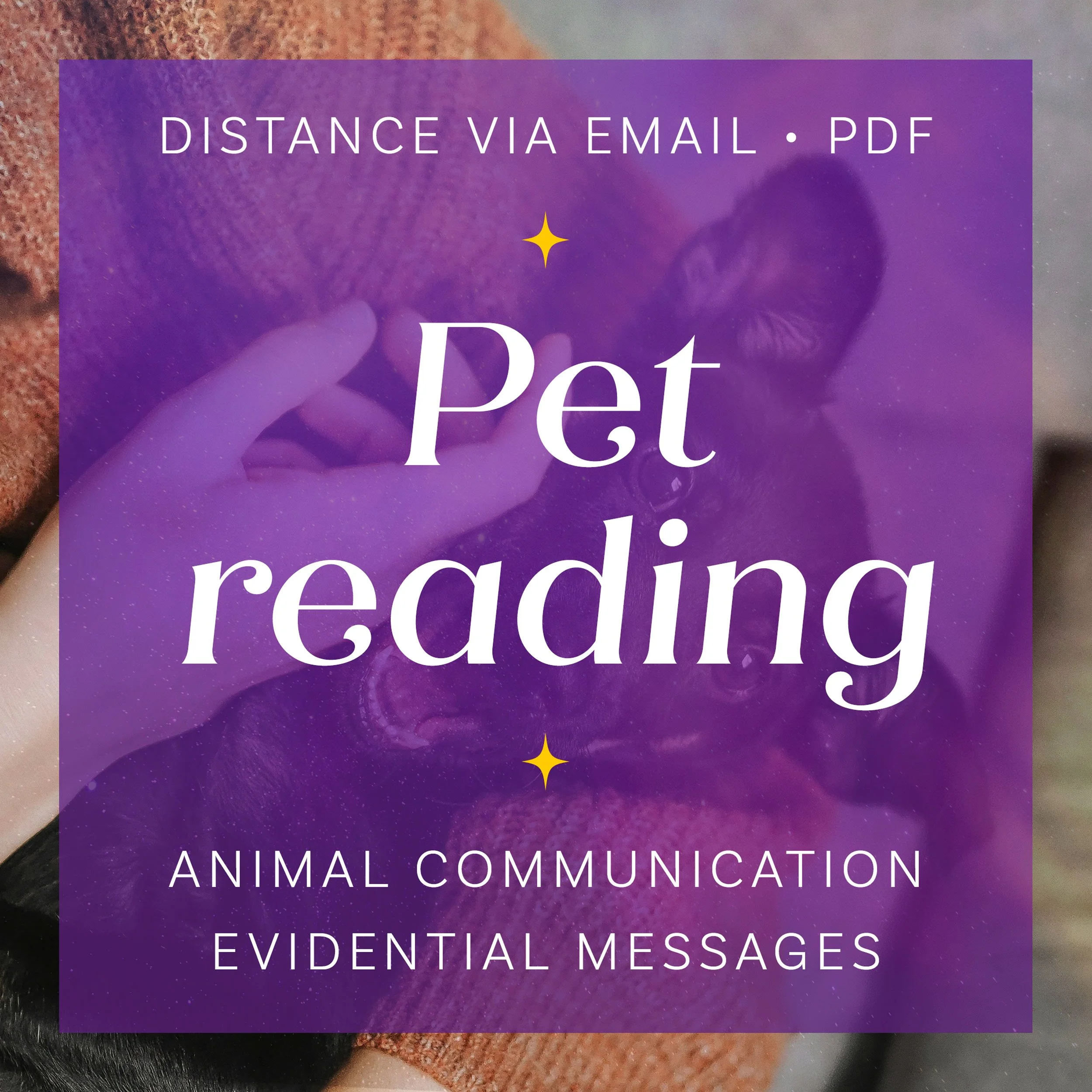 pet_reading_product_2500.jpg