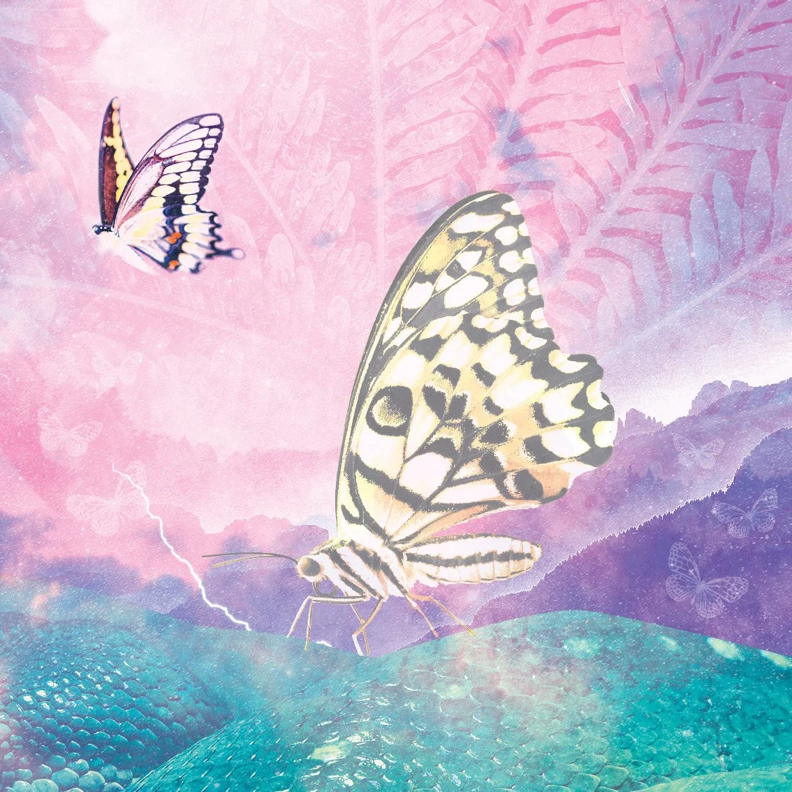 A white butterfly resting on a pink feather against a soft watercolour background in pink, teal and purple tones