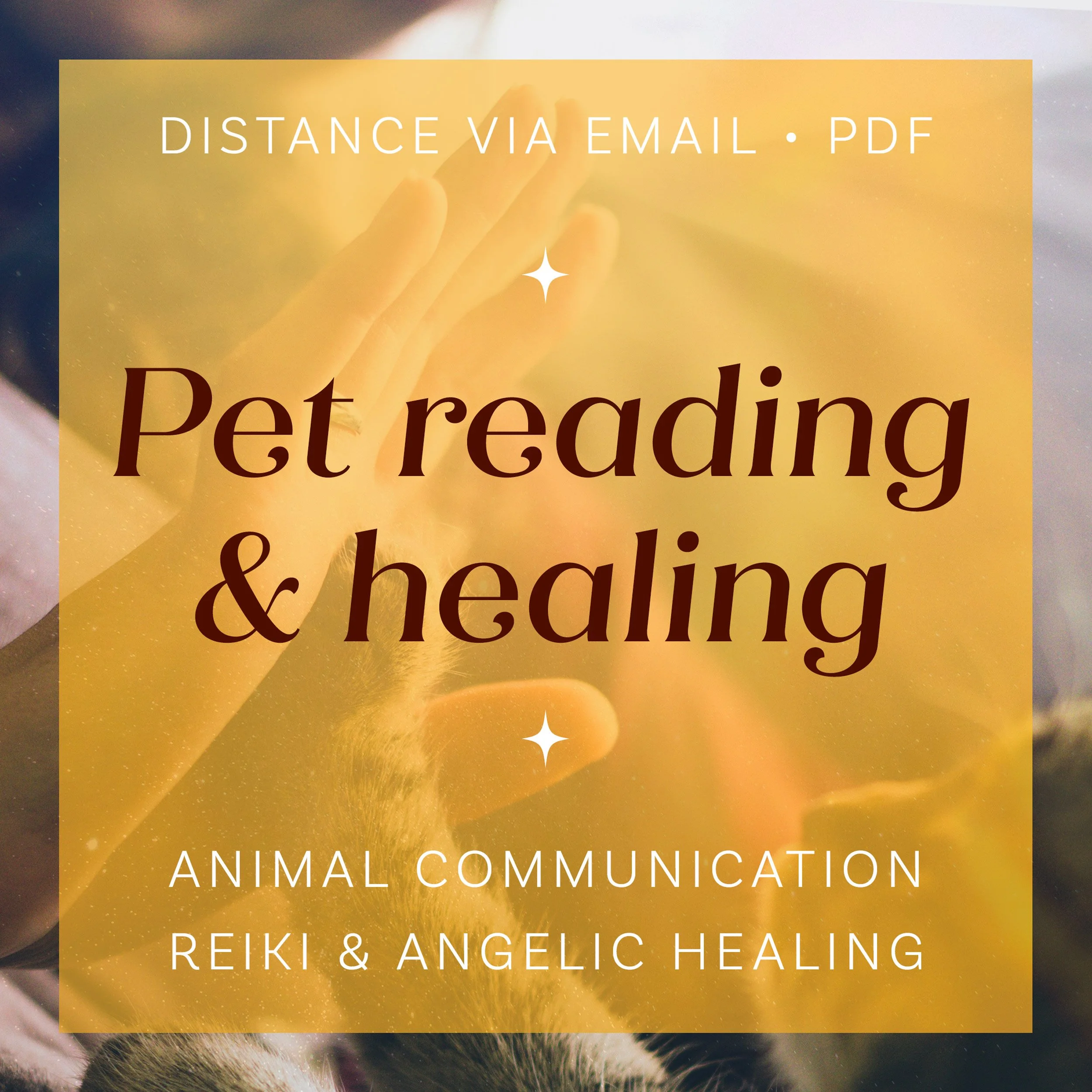 Pet reading & healing