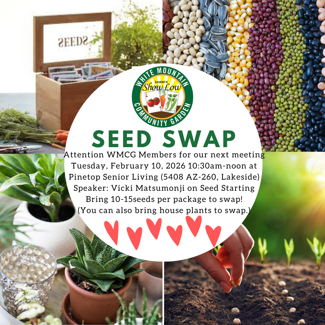 Seed Swap