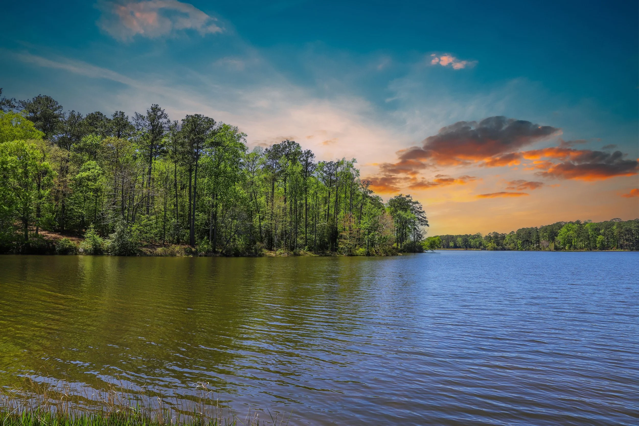 AdobeStock_500086766-min.jpeg