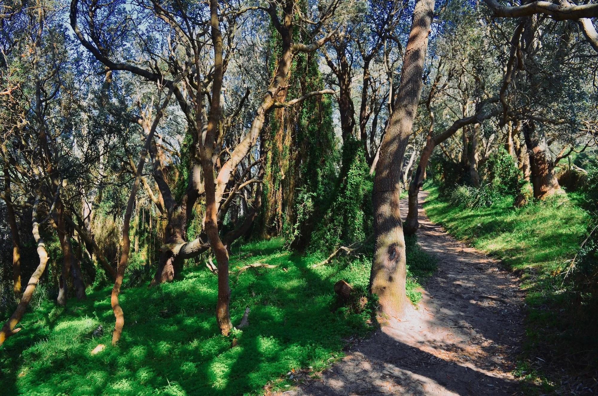 AdobeStock_309991116.jpeg