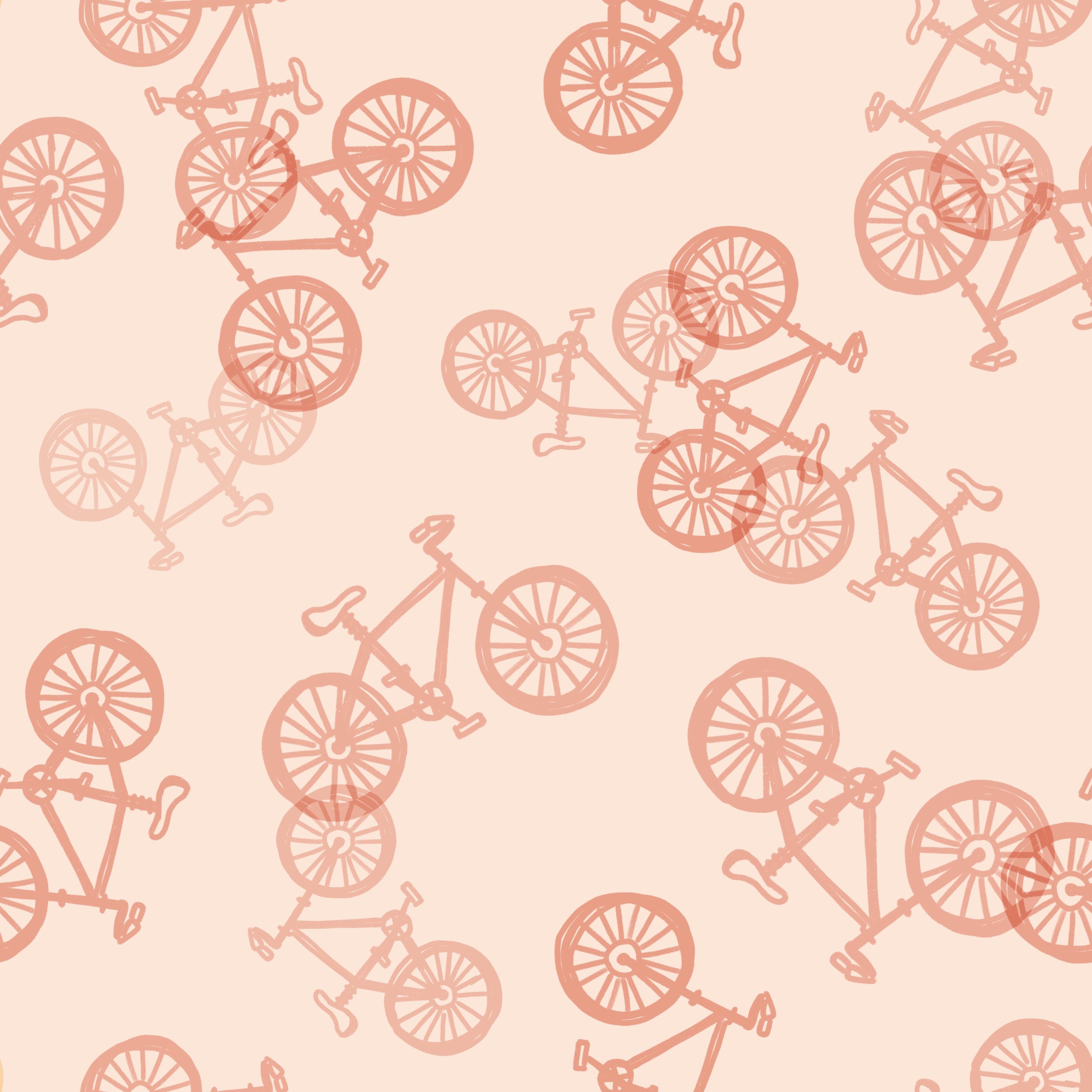 Bicycles2.jpg