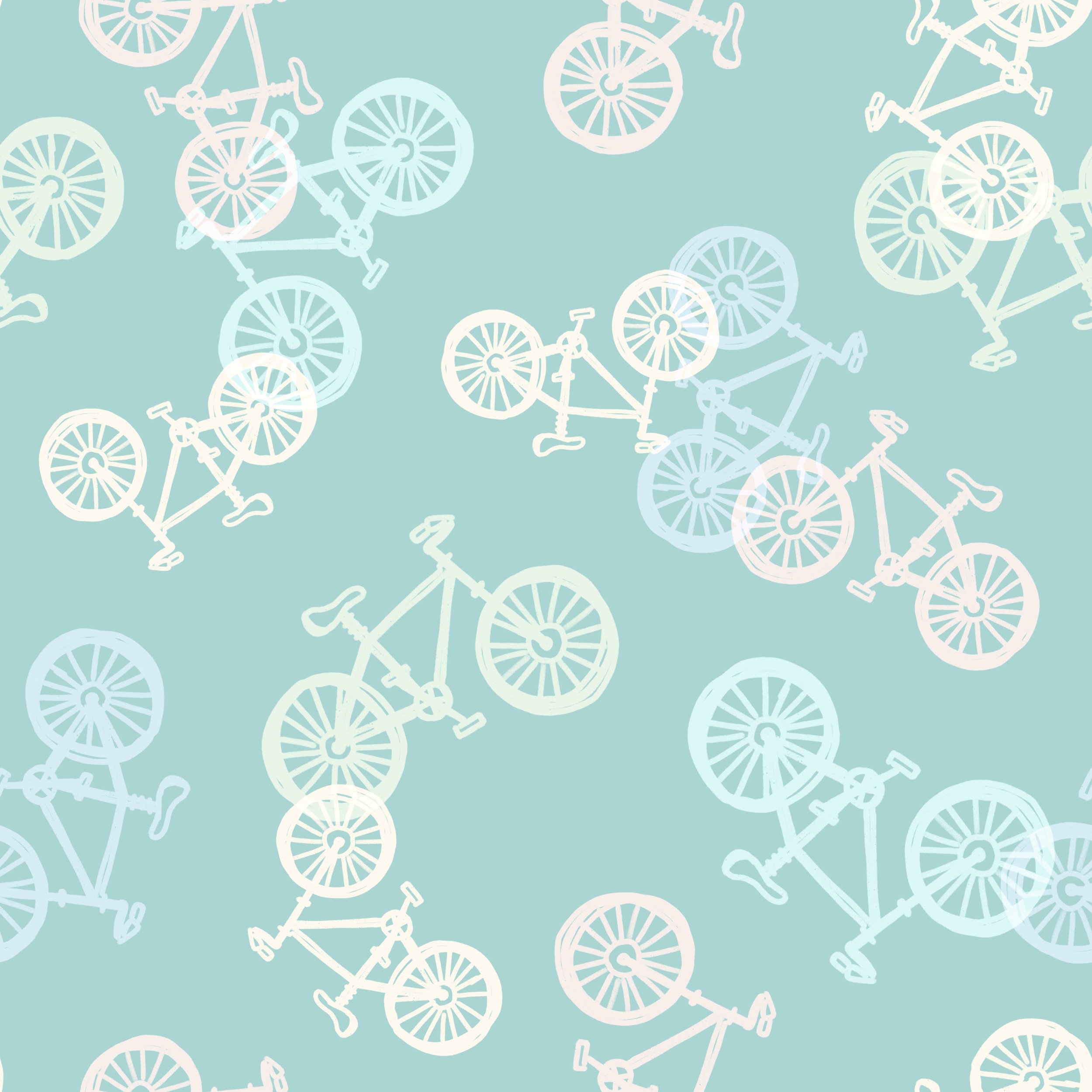Bicycles3.jpg