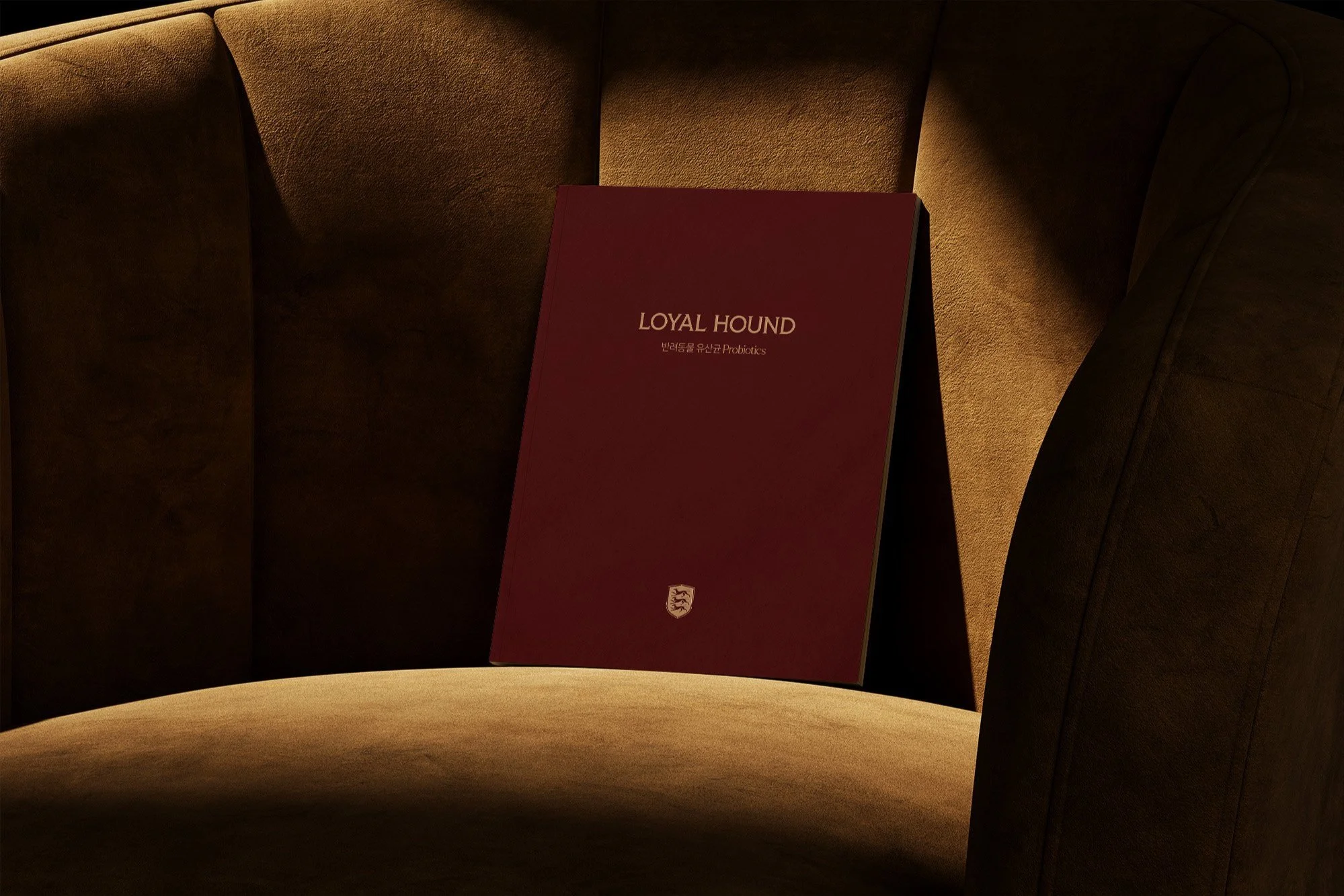 brochure-2.jpg