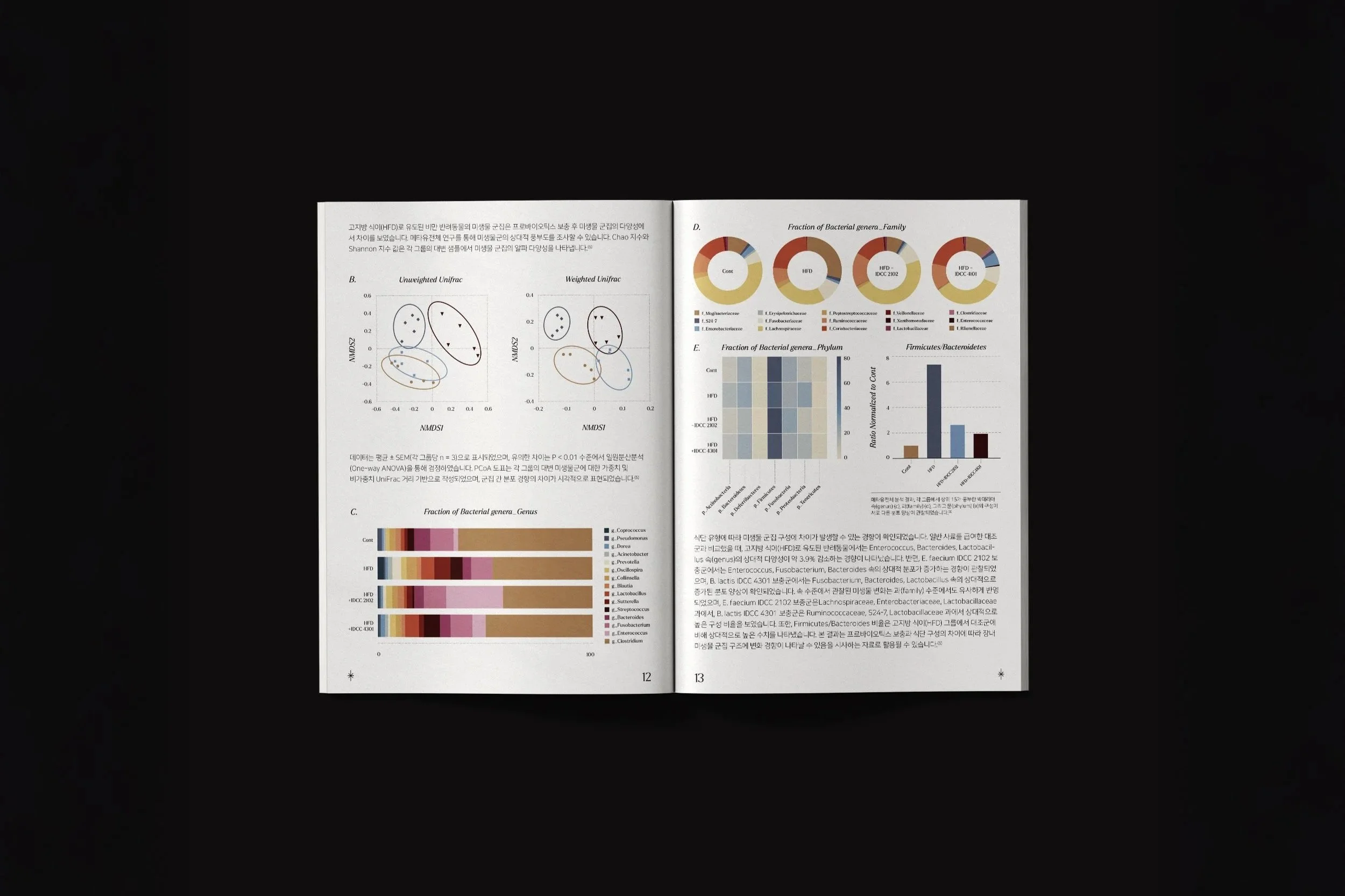 brochure-9.jpg