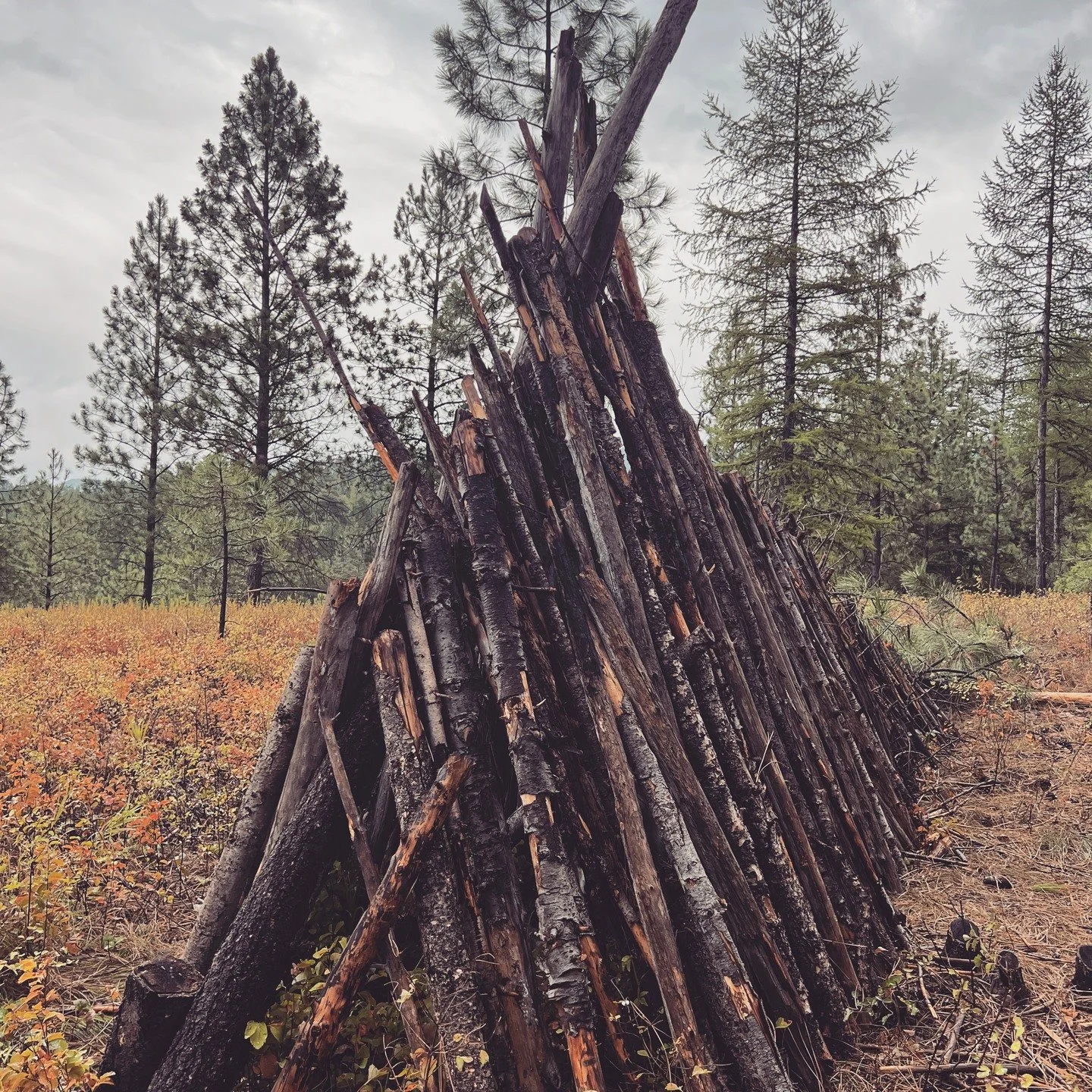 Found in Pattee Canyon. Adult built? Kid built? Alien built?! So cool to see this in the wild. As a kid I would have totally built this...