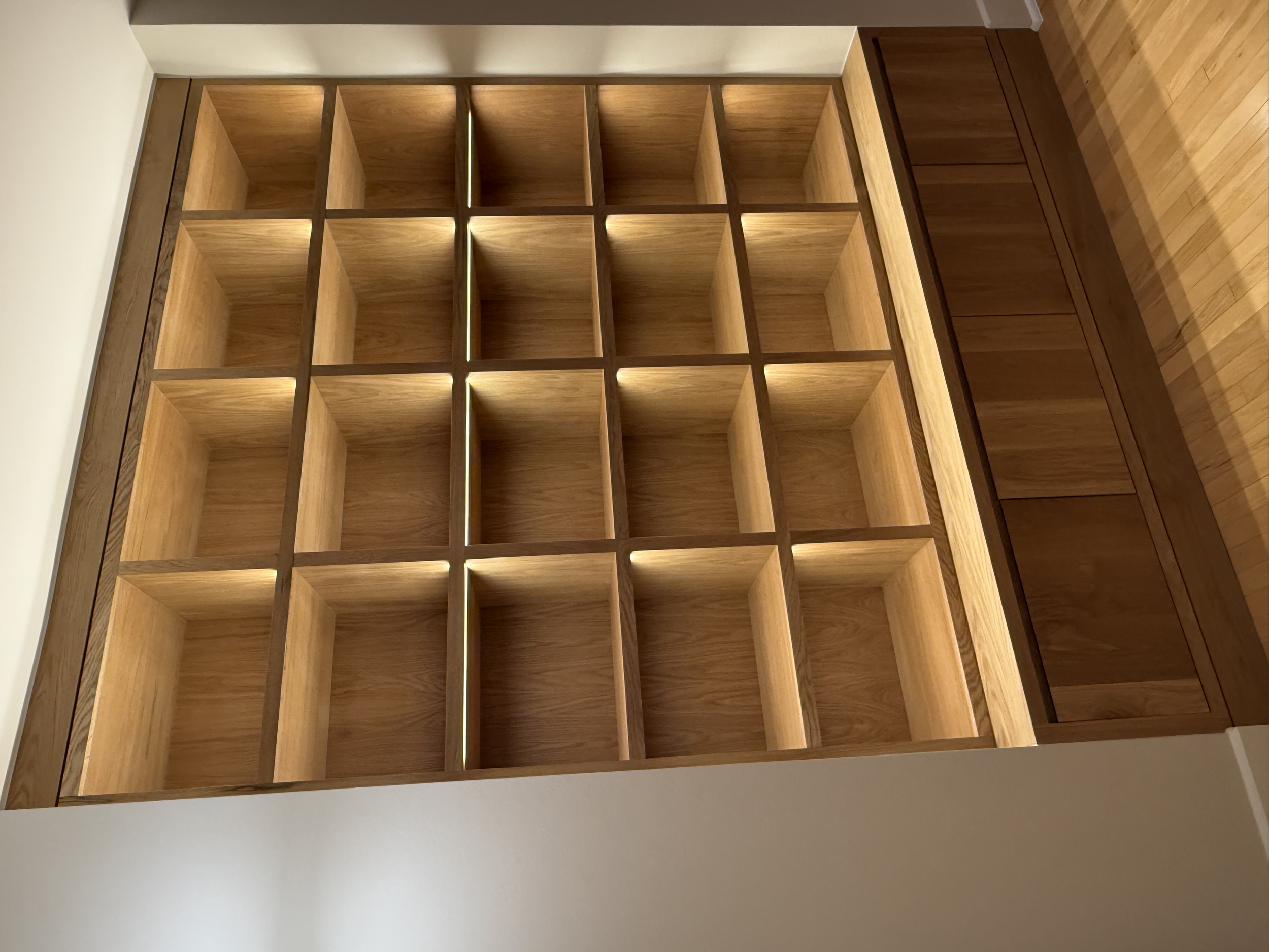 residential-lighted-bookcase