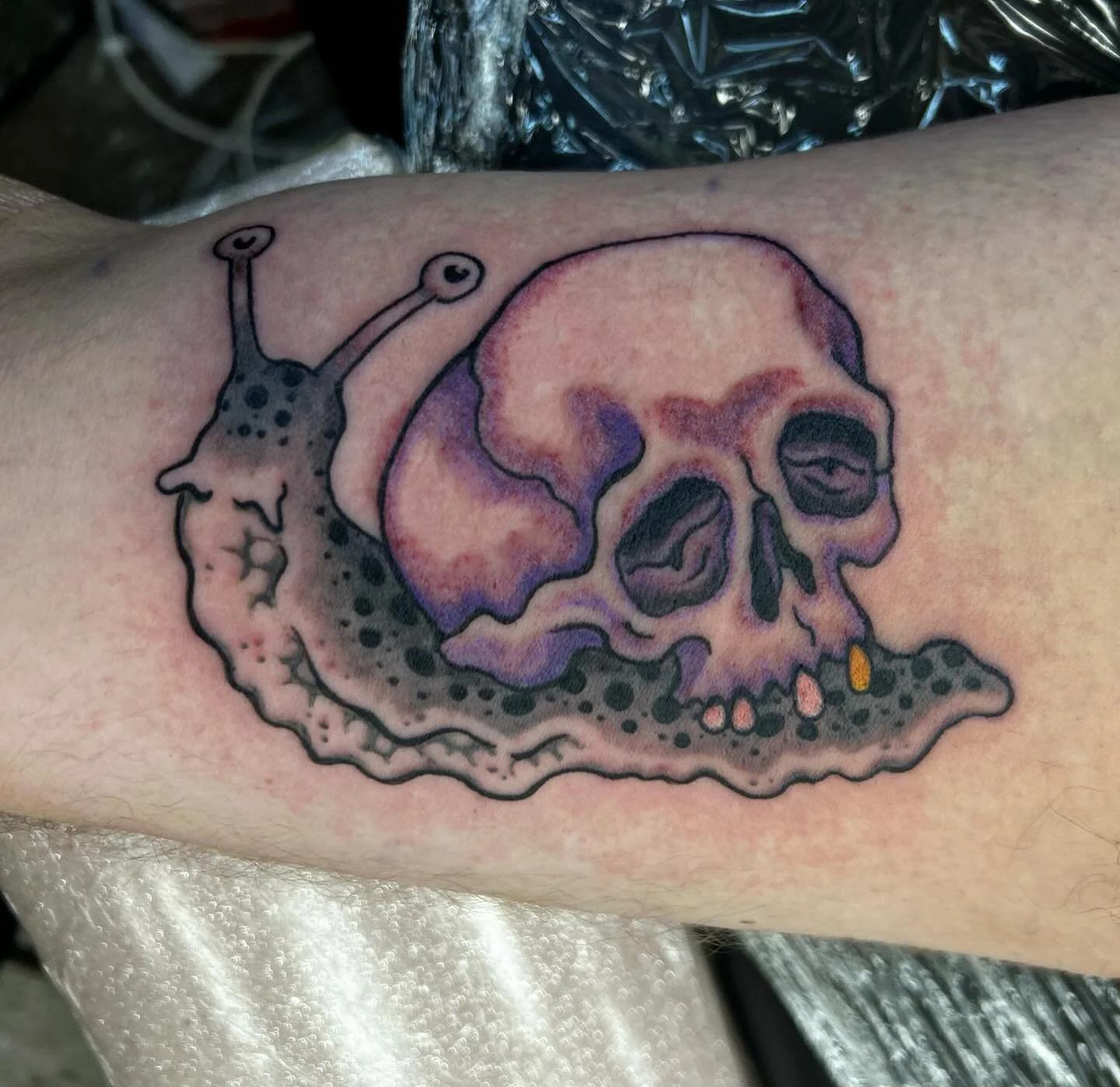 Slug by @joshwrighttattoo 🐌
For appointments, email whitelptustatts@gmail.com or joshwrighttattoo@gmail.com 

#seattletattoo #seattletattooartist #slugtattoo #snailtattoo #skulltattoo #japanesetattoo #japanesetraditional