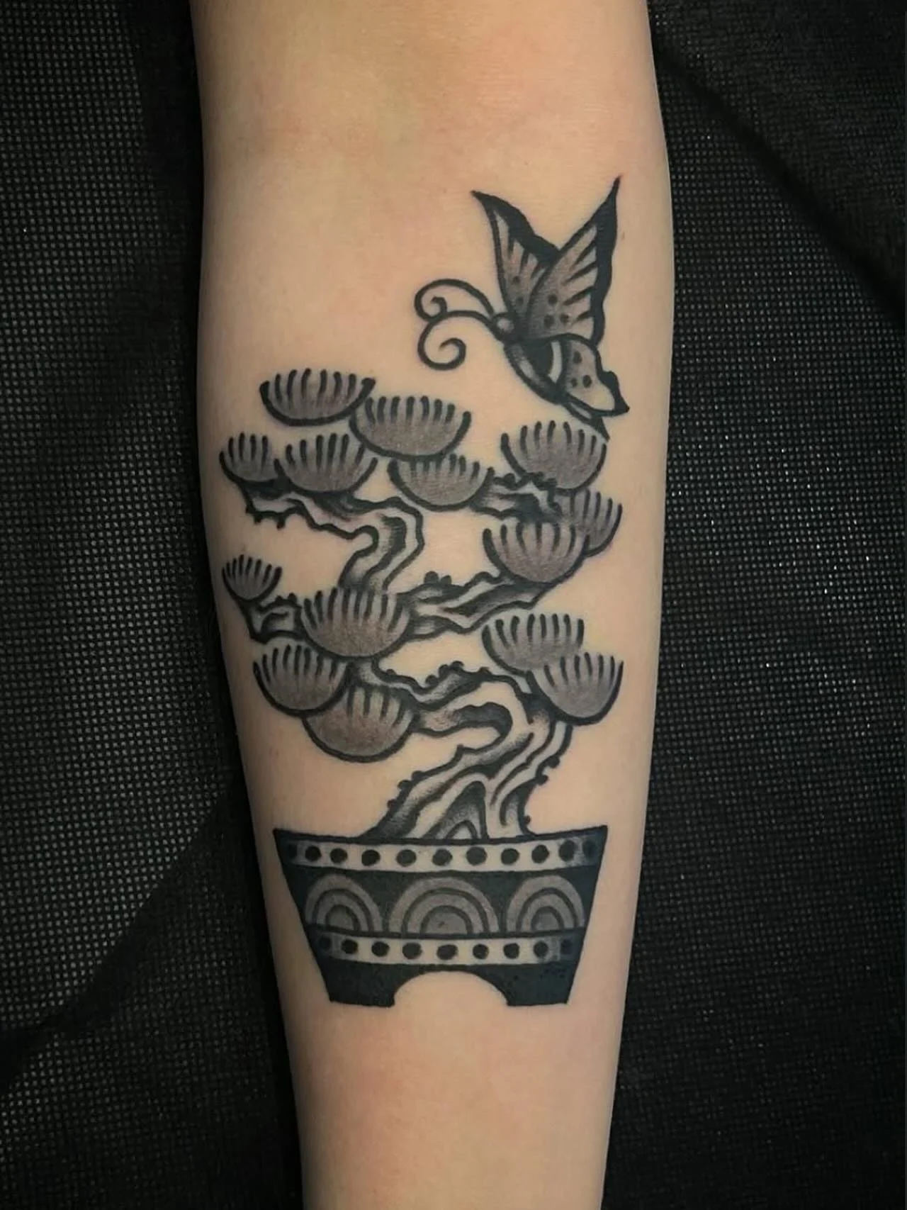 Bonsai tree by @sarapurr 🪾
For appointments, email whitelotustatts@gmail.com or sarapurrtattoos@gmail.com 

#seattletattoo #seattletattooartist #traditionaltattoo #ladytattooer #treetattoo #bonsaitattoo