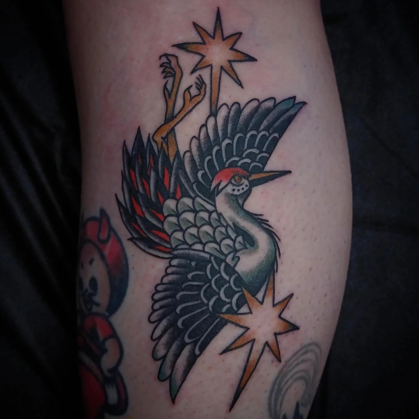 Crane tattoo by @jessicanoeltattoo 🕊️
For appointments, DM Jess or email jessicanoeltattoo@gmail.com 

#seattletattoo #seattletattooartist #traditionaltattoo #cranetattoo