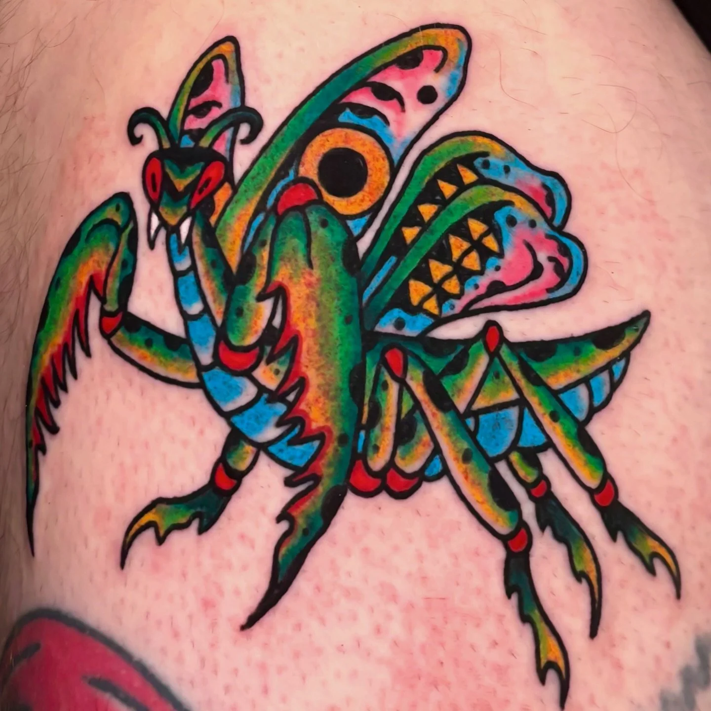 By @misaortego 
To book with Misa, message her or call/text the shop.
#mantistattoo #traditionaltattoo #seattletattooartist