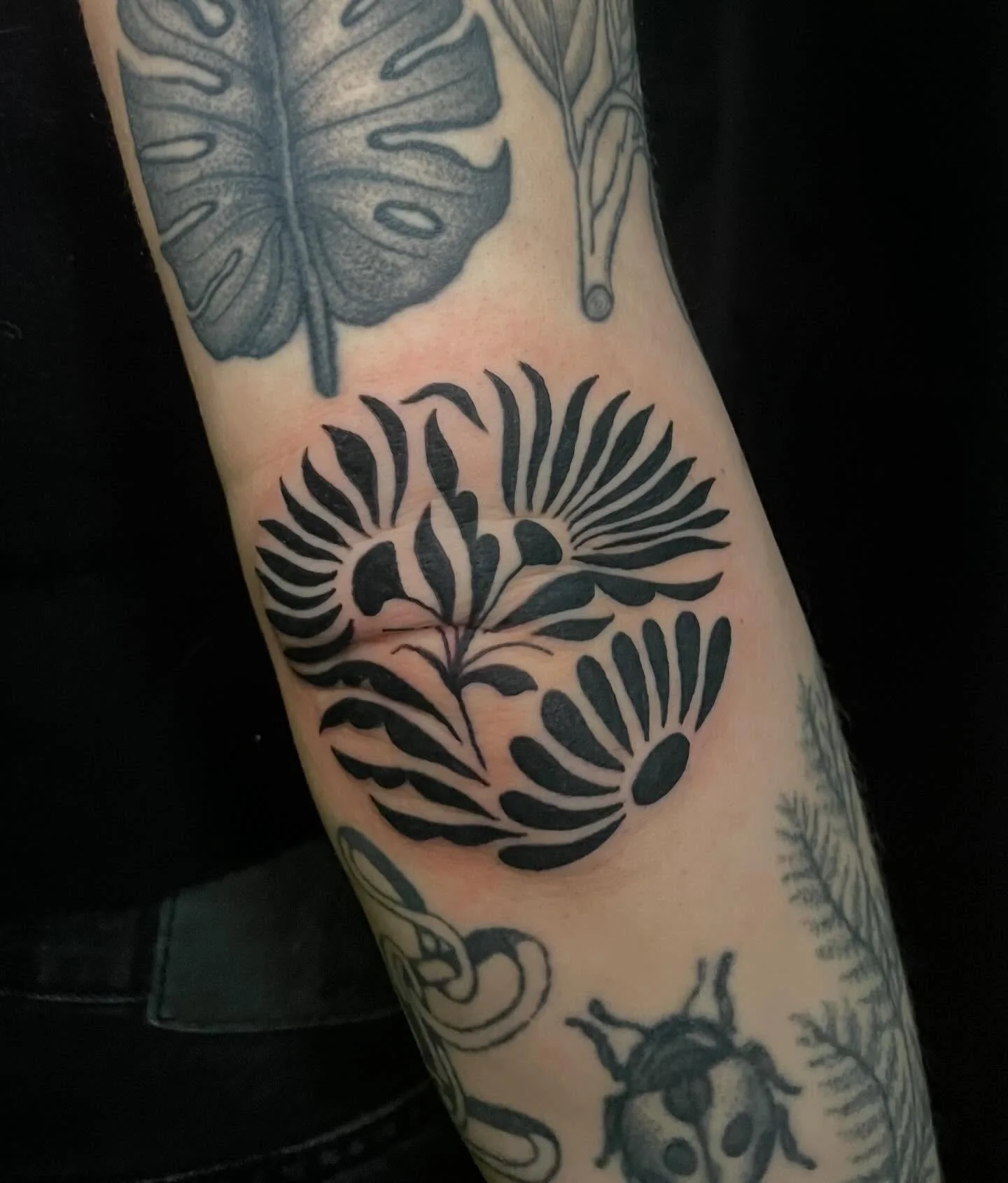 Blackwork elbow by Sierra 🖤🌸
For appointments, DM @sclarktattoos or text the shop!

#seattletattooartist #elbowtattoo #blackworktattoo #queertattooartist #floraltattoo