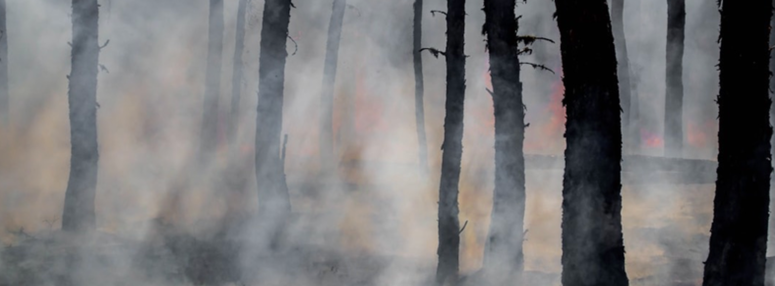 Wildfire Smoke and Exercise: To run or not to run?