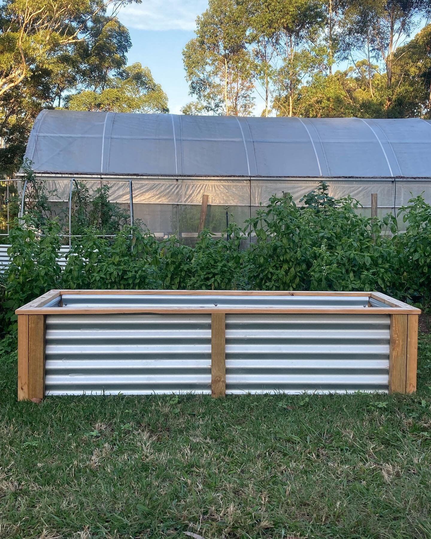 Growbeds, Australian made available for your backyard soon 🌱🥬🥦🧑🏼&zwj;🌾