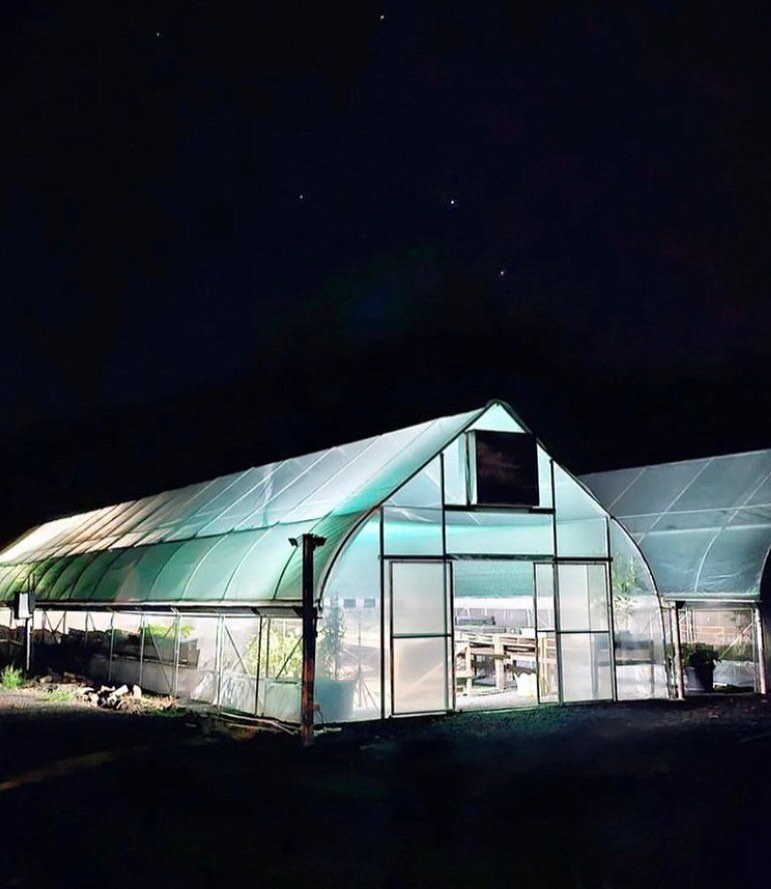 Did you know you can even use our growtunnels at night by simply adding a power supply? Peppe @fivesixtyfarms is so focused on providing the freshest produce to his customers he gets up super early to harvest in the early hours.