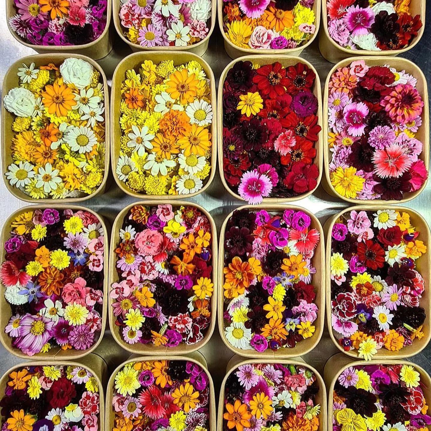 Yesterday we shared all about growing microgreens in a GROWTunnel, but did you know you can also grow flowers &ndash; both for eating, and for looking at!

Check out @fivesixtyfarms' beautiful array of edible flowers! Available at the local markets i