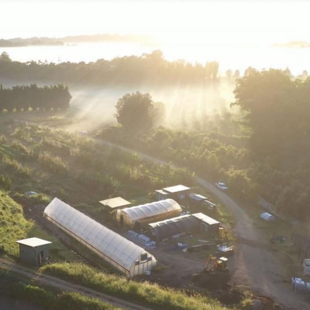 With the change of seasons yesterday, who else is dreaming of wintry, foggy mornings like these ones, over the farm @consciousground 

But don&rsquo;t worry &ndash; we&rsquo;re not wishing away the long Summer days just yet. There&rsquo;s too much to