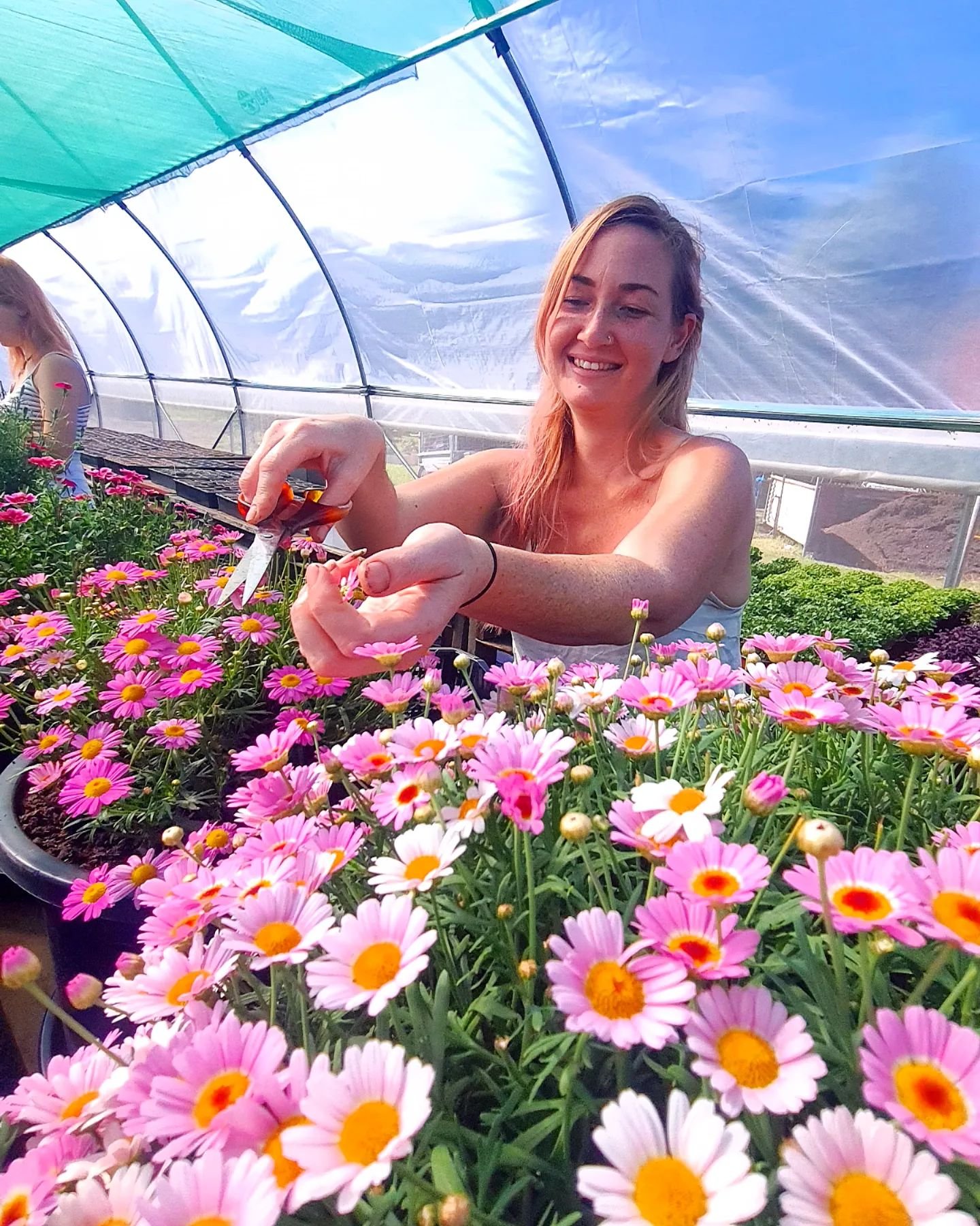 edible-flowers-grow-tunnel.jpeg