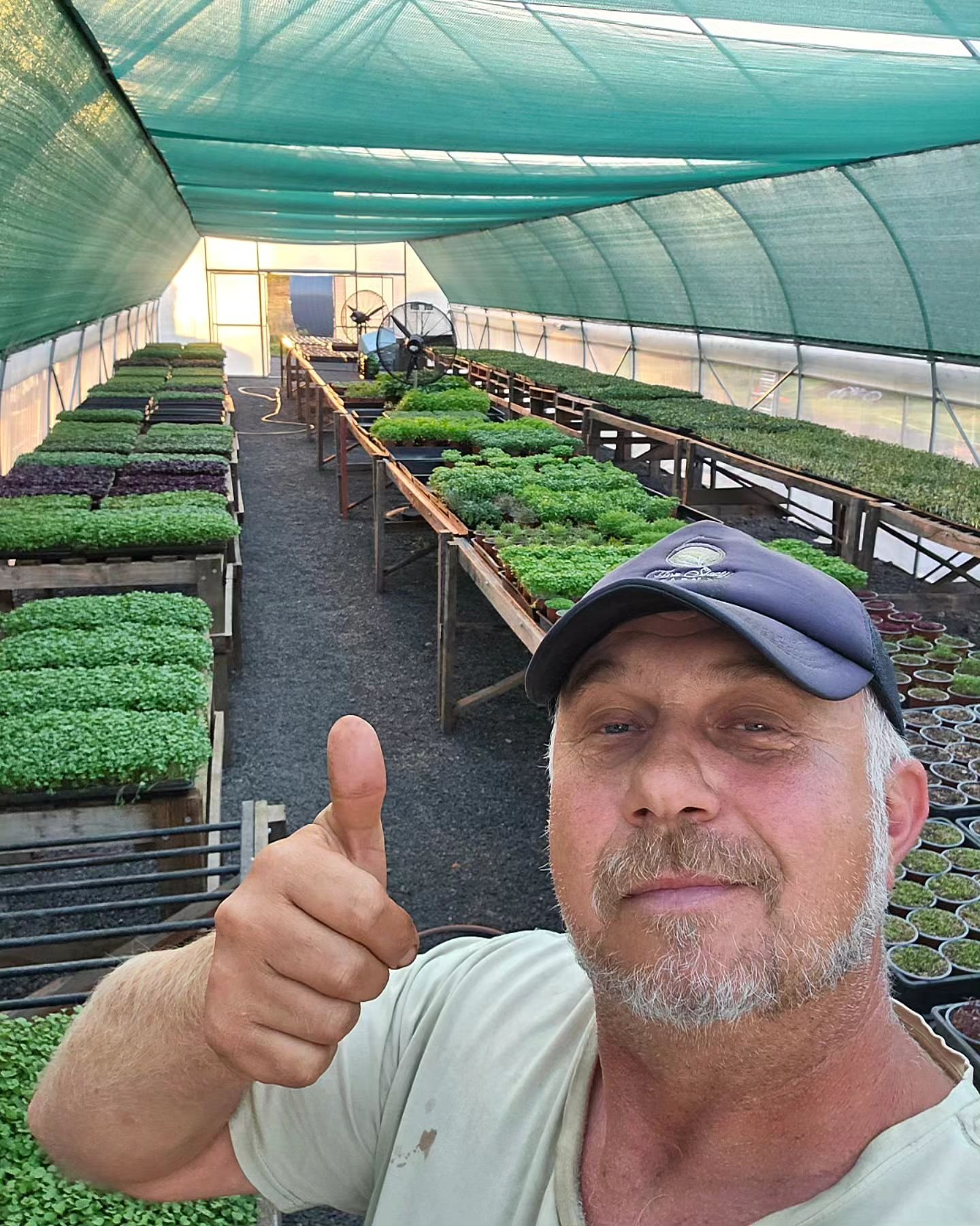 polytunnel-with-shadecloth.jpeg