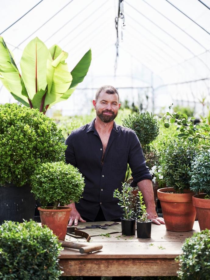 mike-booth-topiary.jpeg