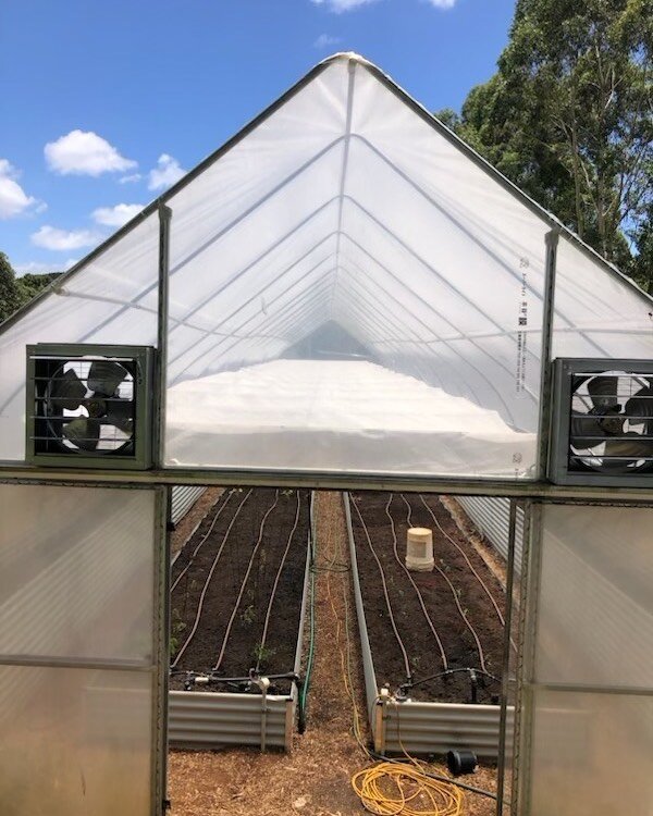 Getting shady, have you considered adding an internal shade net to your growtunnel. We recently installed this in a V1 rural. 50% white shade cloth, retractable on cloudy and winter days&hellip;.