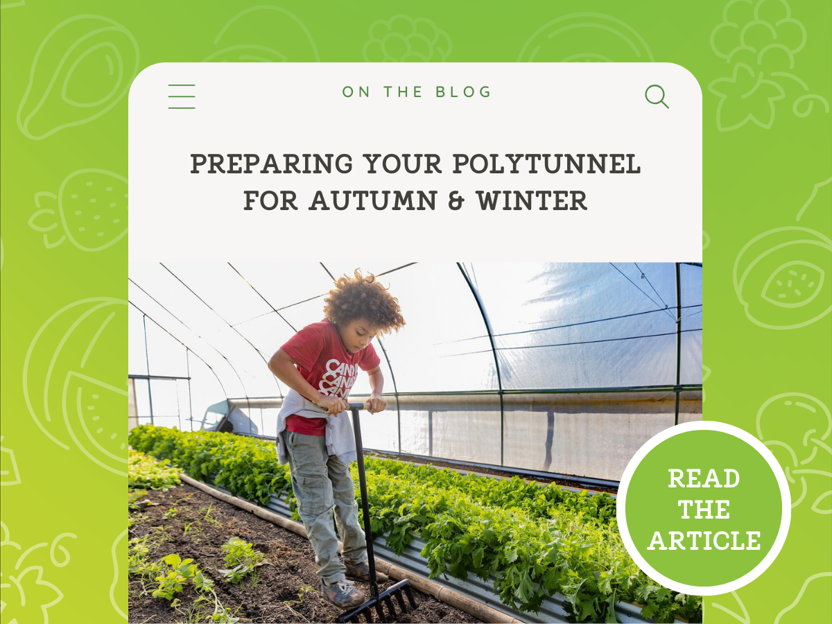 Preparing Your Polytunnel for Autumn &amp; Winter